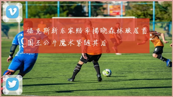 福克斯新东家赔率揭晓森林狼居首国王公牛魔术紧随其后